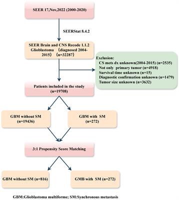 The prognostic significance of synchronous metastasis in glioblastoma multiforme patients: a propensity score-matched analysis using SEER data